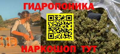 ПСИЛОЦИБИНОВЫЕ ГРИБЫ Лесосибирск
