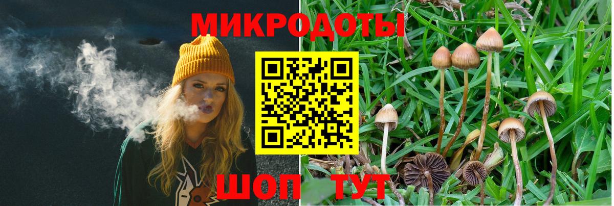 Галлюциногенные грибы Psilocybine cubensis  Вход с VPN  Псилоцибиновые грибы мицелий  Чебаркуль 